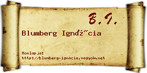 Blumberg Ignácia névjegykártya